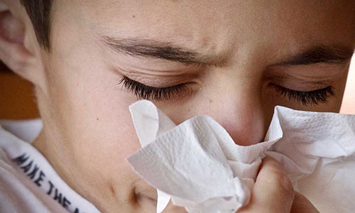 Allergia respiratoria